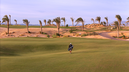 Hidden Cove Golfplatz mit Palmen am Meer